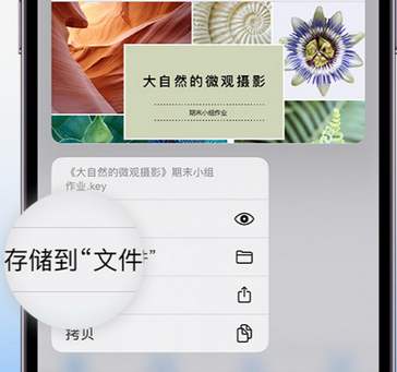 绛县apple维修中心分享iPhone文件应用中存储和找到下载文件