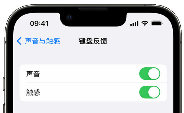 绛县苹果手机维修分享iPhone 14触感键盘使用方法 